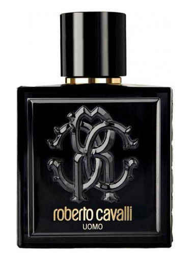 Buy Roberto Cavalli Uomo for Men Eau de Toilette 100mL Online at low price 