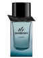 Buy Burberry Mr. Burberry Element for Men Eau de Parfum 150mL Online at low price 