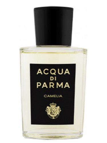 Buy Acqua Di Parma Camelia Eau de Parfum Online at low price 