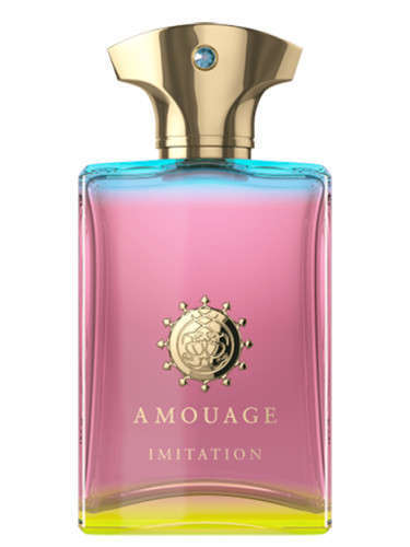 صورة Amouage Imitation for Men Eau de Parfum 100mL